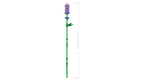 LEGO Botanicals 11508 Ramunės