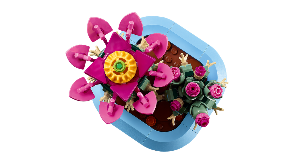 LEGO Botanicals 11509 Žydintis kaktusas