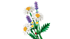 LEGO Botanicals 11508 Ramunės