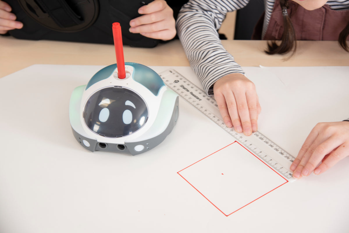 TTS Loti-Bot programuojamas robotas