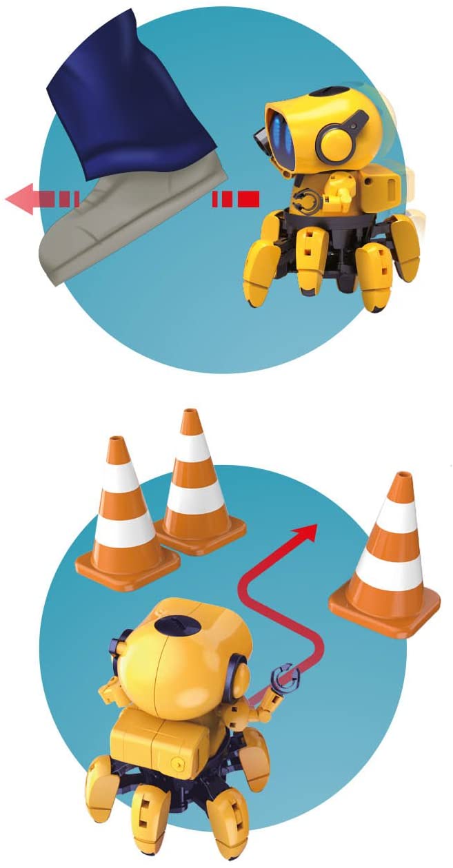 Buki robotas Tibo