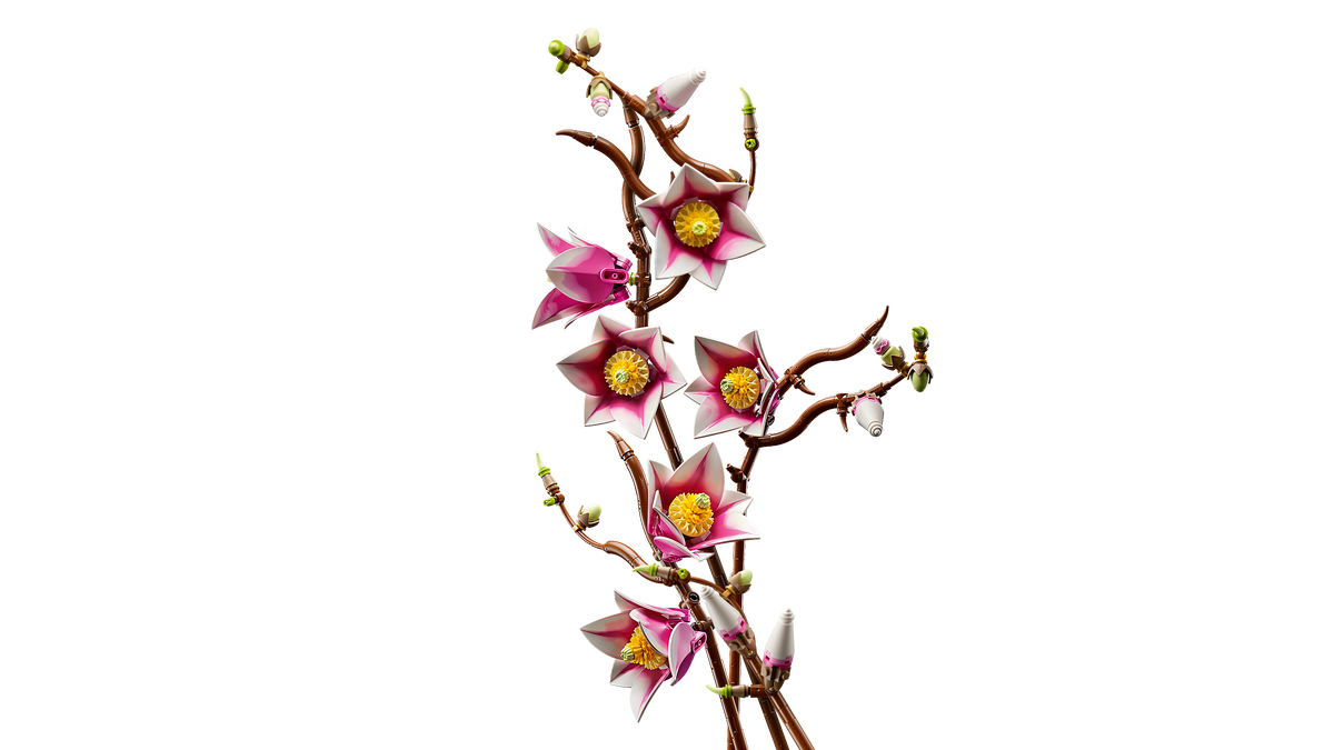 LEGO Botanicals 11510 Magnolijos šakos