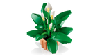 LEGO Botanicals 11504 Spatifilis