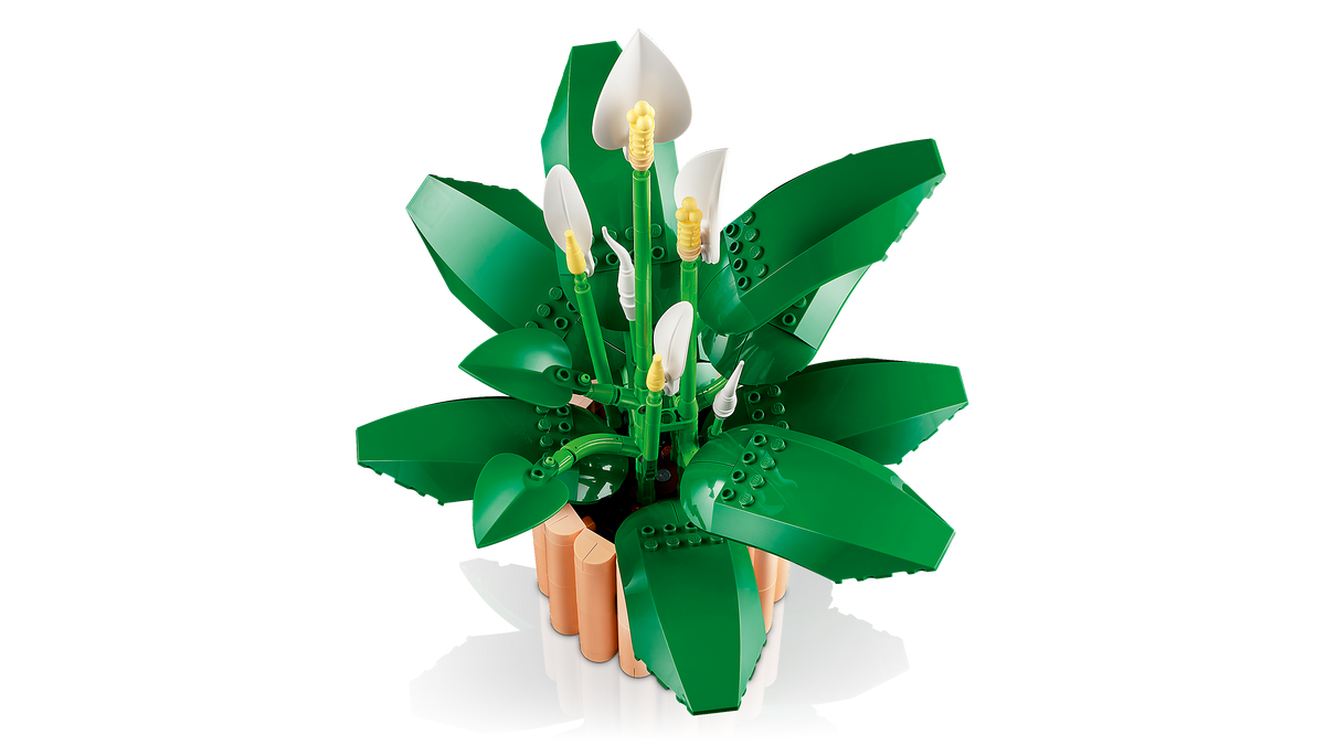 LEGO Botanicals 11504 Spatifilis