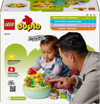 LEGO DUPLO 10441 Formų rūšiuoklis: šuniukų namelis