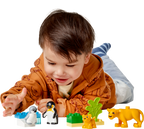 LEGO DUPLO 10442 Laukinių gyvūnų šeimos: pingvinai ir liūtai