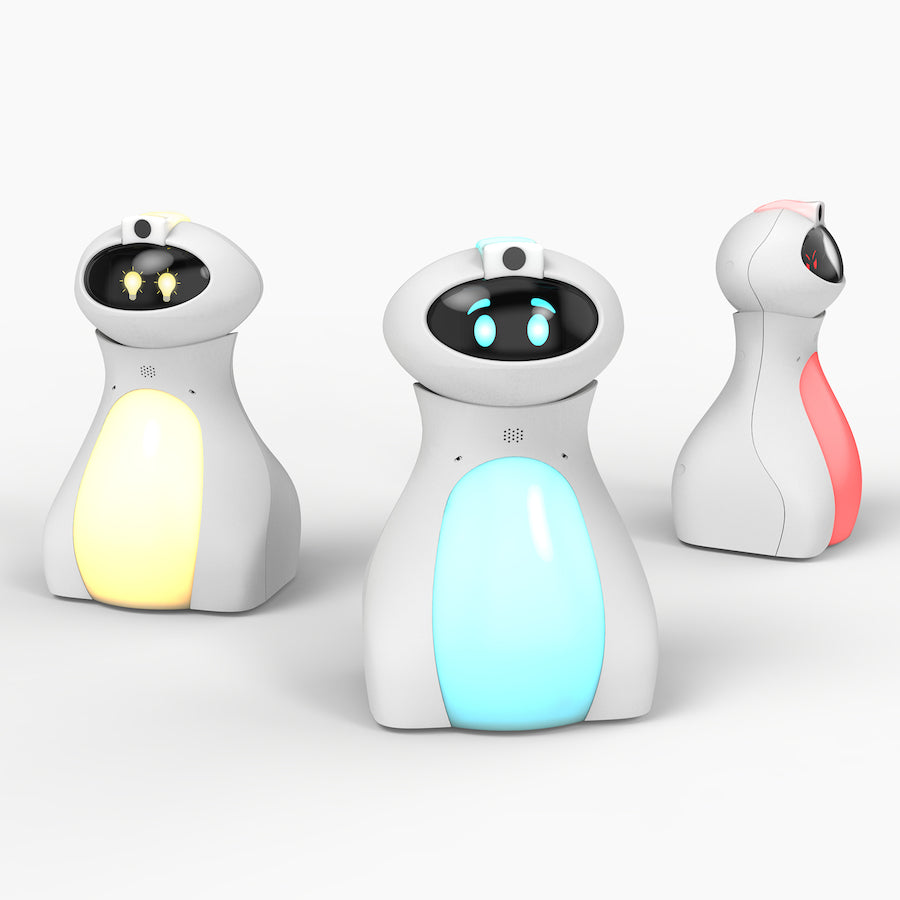 TTS Oti-Bot programuojamas humanoidinis robotas