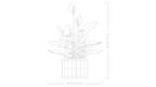 LEGO Botanicals 11504 Spatifilis
