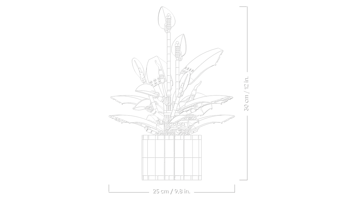 LEGO Botanicals 11504 Spatifilis