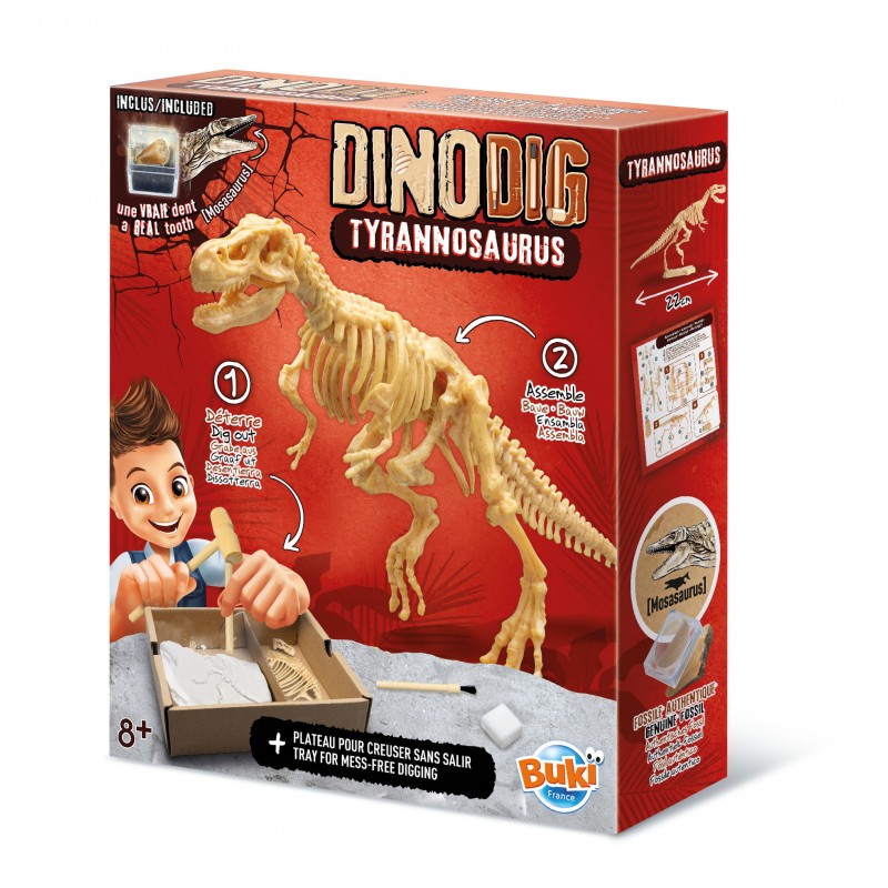 Buki Dino Dig tiranozauro kasinėjimai su tikru mozazauro dantimi