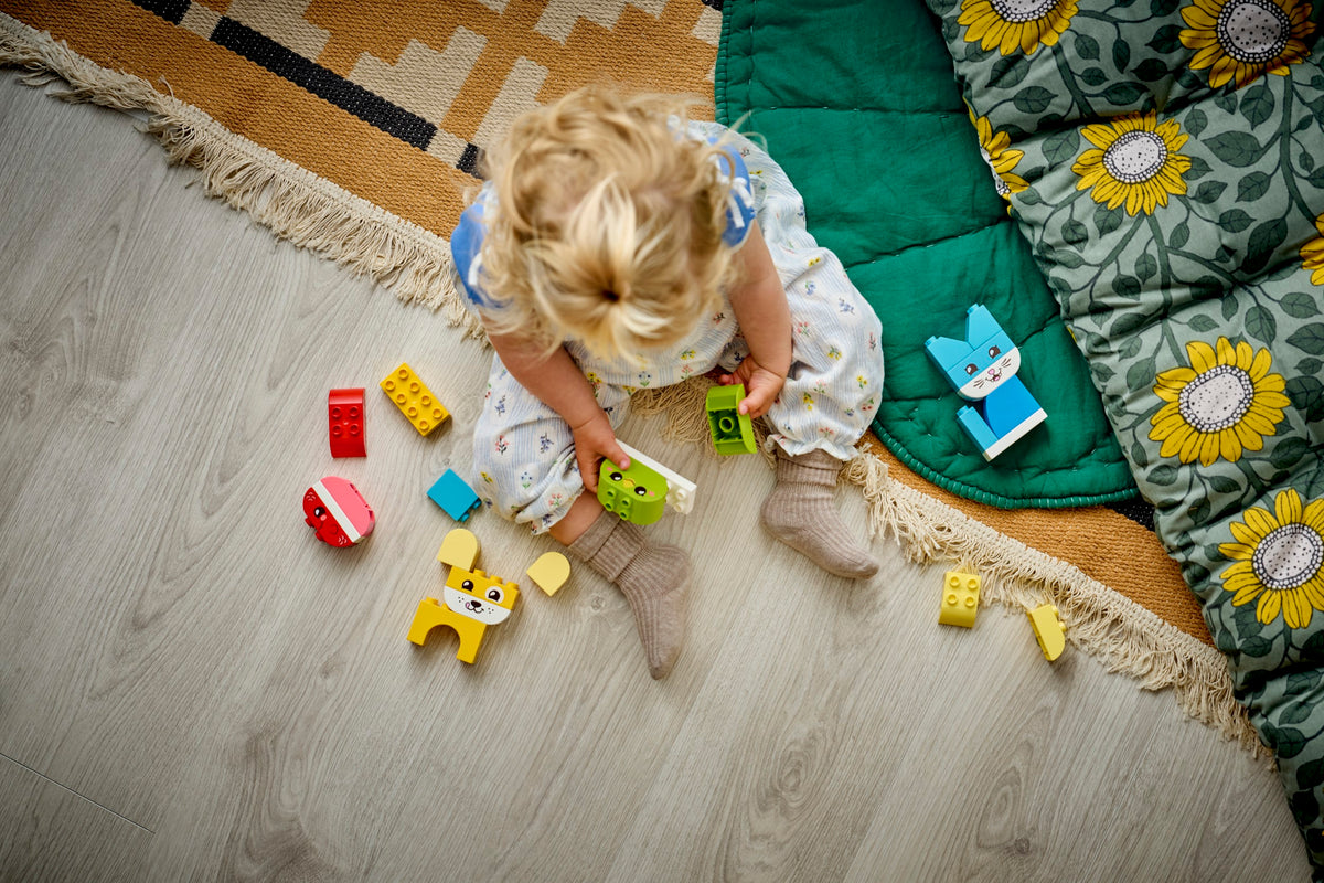 LEGO DUPLO 10477 Mieli augintiniai 3 viename
