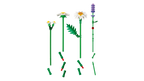 LEGO Botanicals 11508 Ramunės