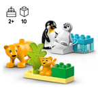 LEGO DUPLO 10442 Laukinių gyvūnų šeimos: pingvinai ir liūtai