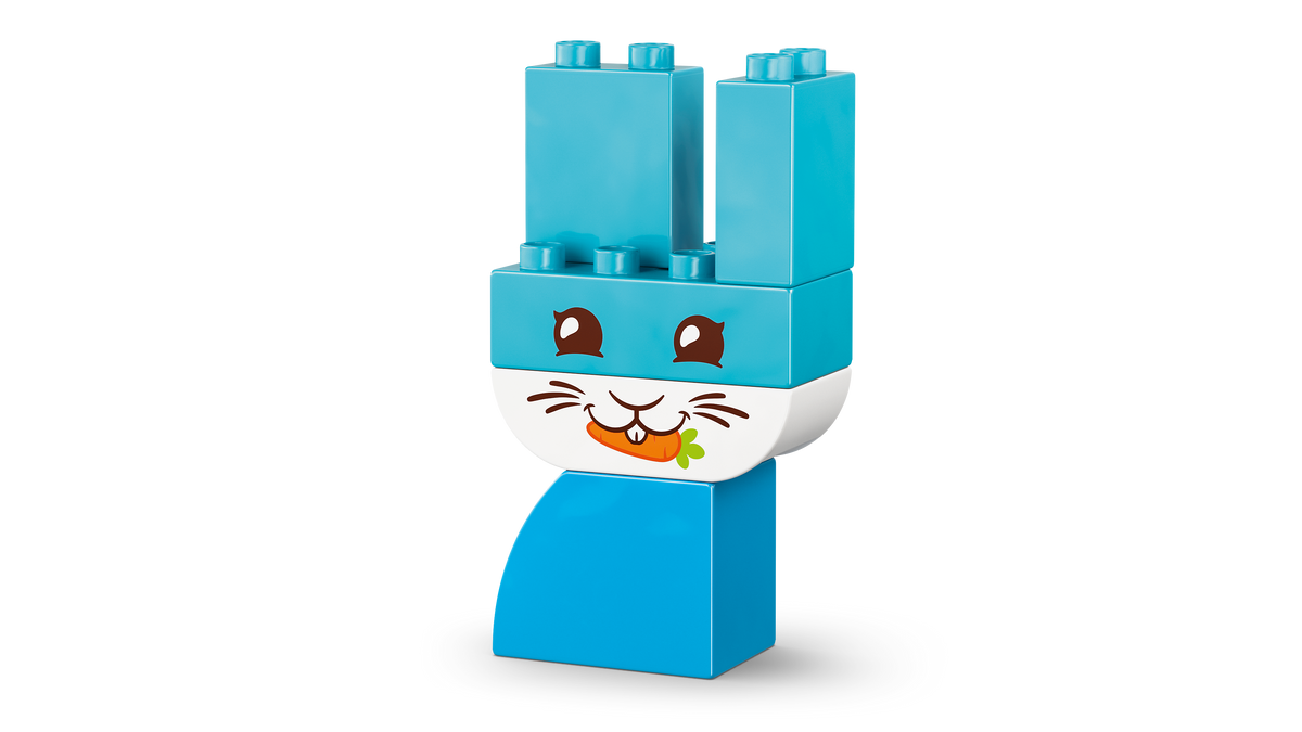 LEGO DUPLO 10477 Mieli augintiniai 3 viename