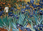 Dėlionė Irisai Vincent Van Gogh 1000