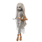 MONSTER HIGH SKULLECTOR kolekcinė lėlė Mumija (JKM51)