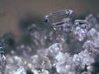 Mikroskopas Erudit ICD Stereo 20x/40x