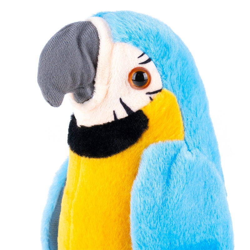 Pliušinė kalbanti papūga -atkartojanti garsus