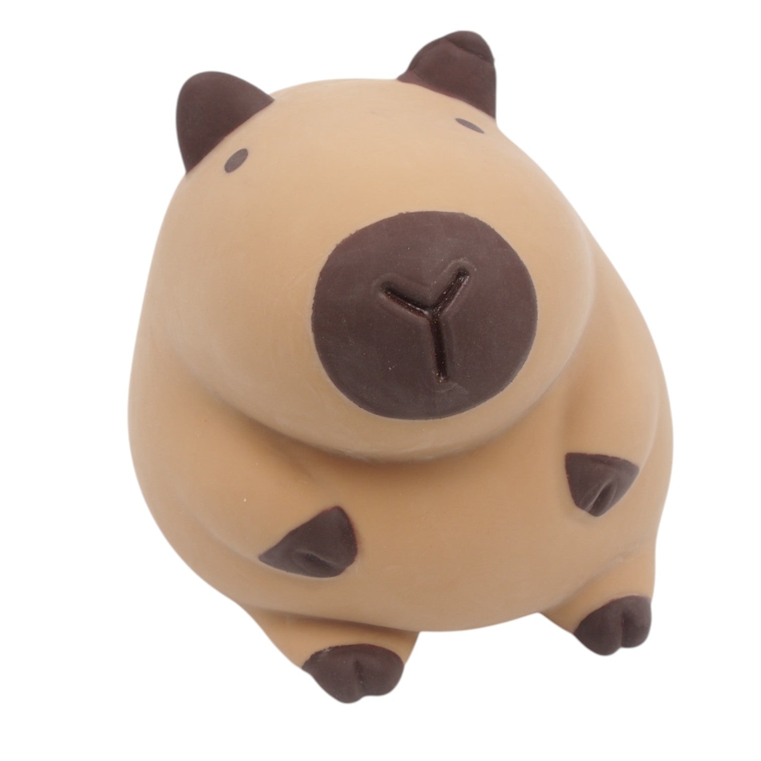 Pripučiama kapibara