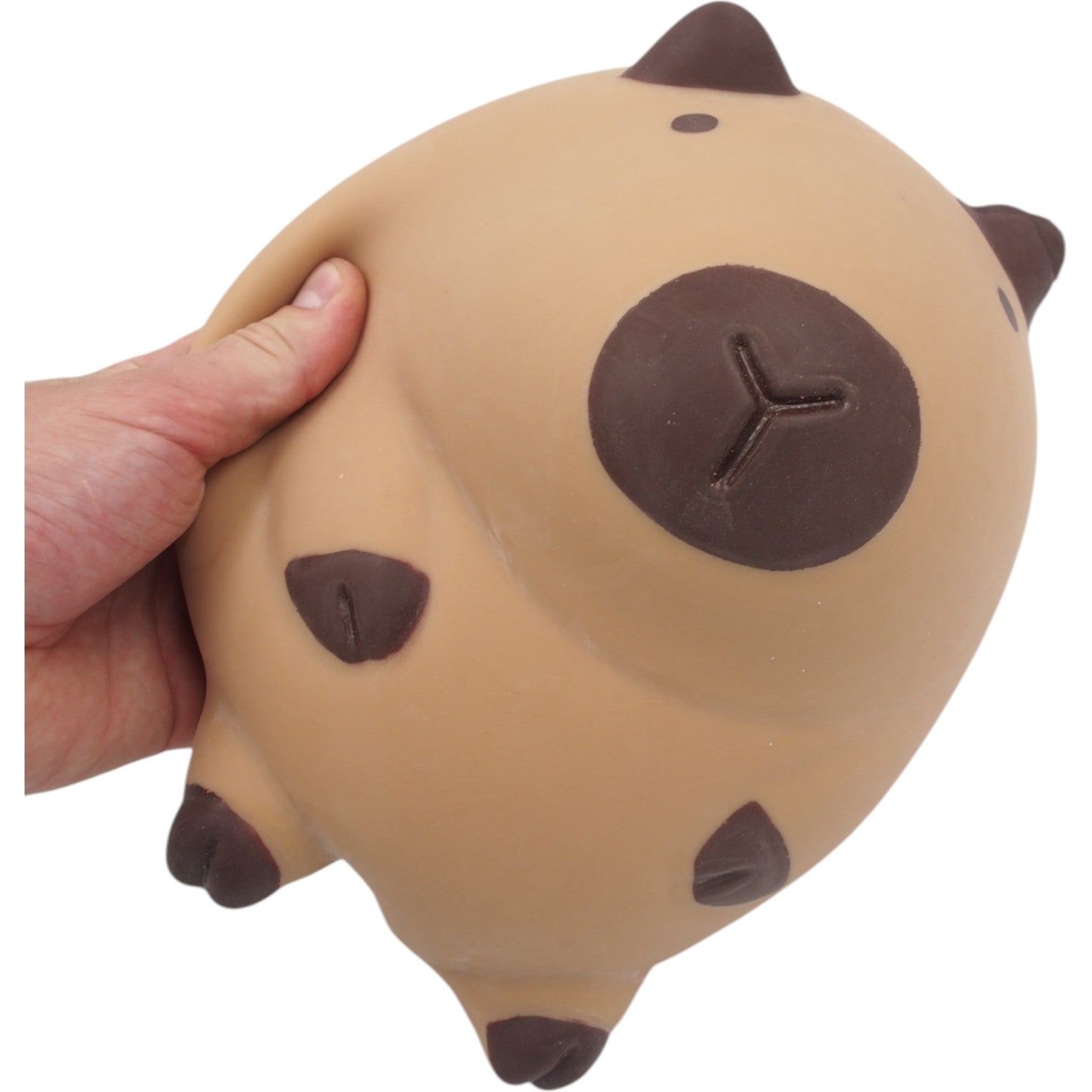 Pripučiama kapibara