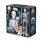 Konstruktorius Didelis žmogaus skeletas 85cm